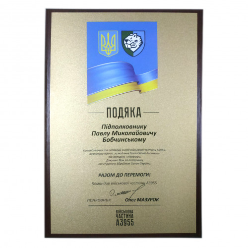 Нагородний диплом на дерев'яній плакетці з металом (золото матове) 20х30см